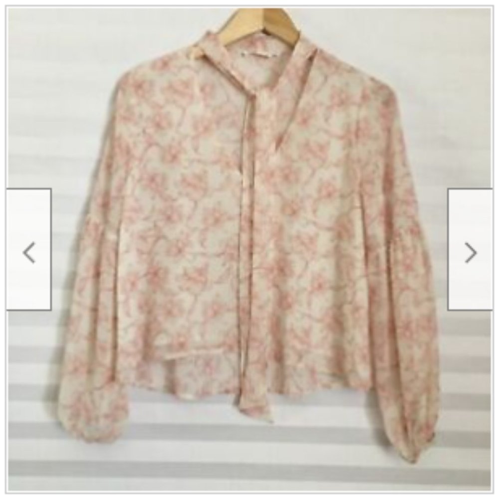 Lush Crop Blouse Top Puff Sleeve V Neck Tie Lined Sheer Floral Pink Beige